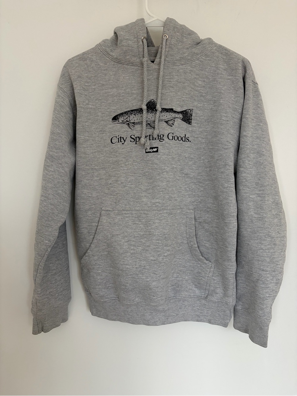 Only NY hoodie